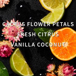 Alternative view of Cactus Blossom